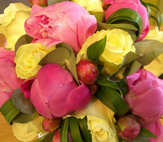 Fleuriste à Arquennes Pour Toutes Les Occasions Et Fêtes