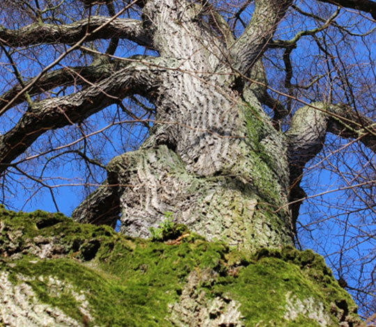 photo-biodiversite